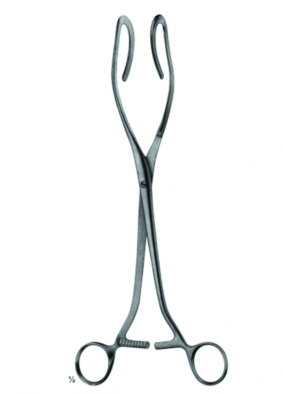 Uterine Elevating Forceps