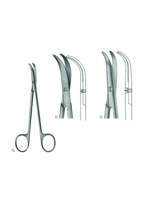 Dissecting Scissors