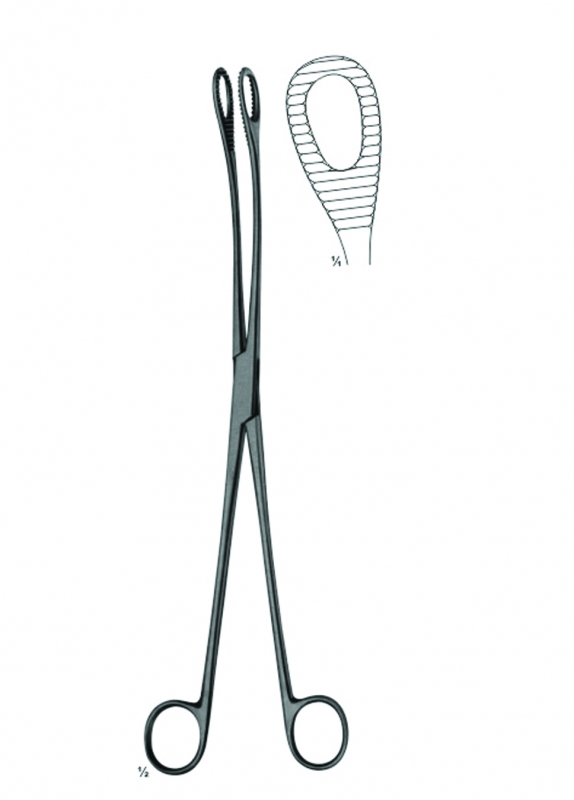 Polypus-and Ovum Forceps