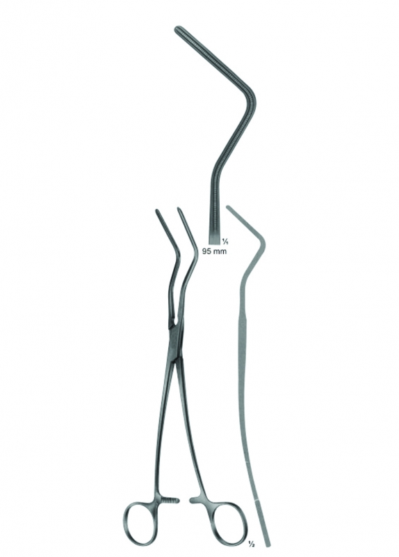 Atraumata Anastomosis And Ascending Aotra Cross, Bronchus Clamps