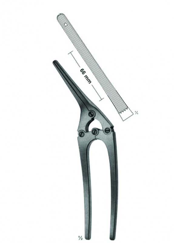 Intestinal and Pylorus Clamps